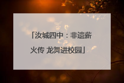 汝城四中：非遗薪火传 龙舞进校园