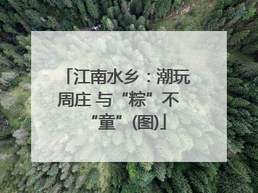 江南水乡：潮玩周庄 与“粽”不“童”(图)