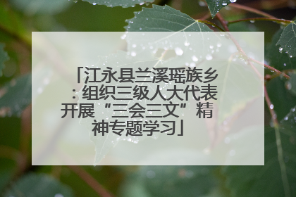 江永县兰溪瑶族乡：组织三级人大代表开展“三会三文”精神专题学习