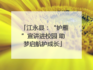 江永县：“护雁”宣讲进校园 助梦启航护成长
