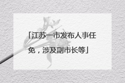 江苏一市发布人事任免，涉及副市长等