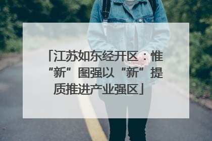 江苏如东经开区：惟“新”图强以“新”提质推进产业强区