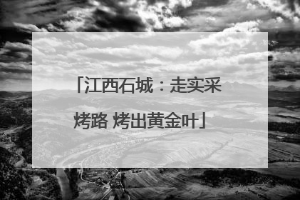 江西石城：走实采烤路 烤出黄金叶