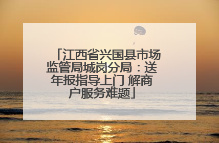 江西省兴国县市场监管局城岗分局：送年报指导上门 解商户服务难题
