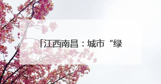 江西南昌：城市“绿岛”助候鸟“安家”