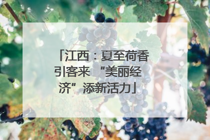 江西：夏至荷香引客来 “美丽经济”添新活力