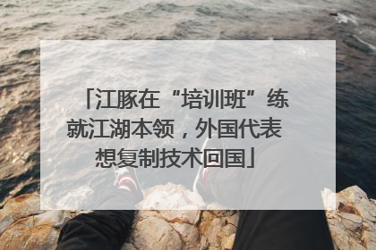 江豚在“培训班”练就江湖本领，外国代表想复制技术回国