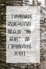 池州城区清溪河岸边现众多“梅花桩” 部门回应市民关切