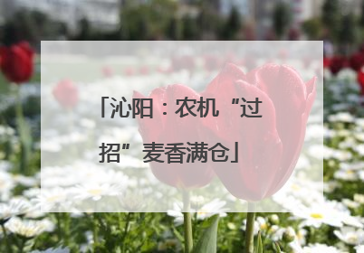 沁阳：农机“过招”麦香满仓