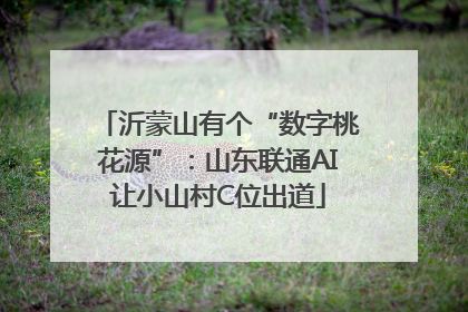 沂蒙山有个“数字桃花源”：山东联通AI让小山村C位出道