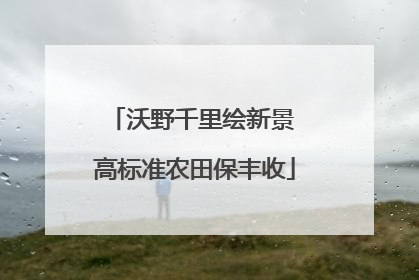 沃野千里绘新景 高标准农田保丰收