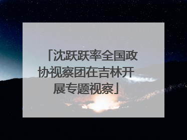沈跃跃率全国政协视察团在吉林开展专题视察