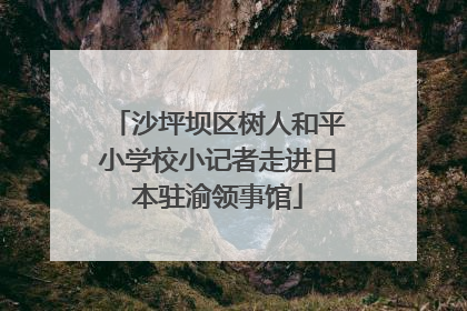 沙坪坝区树人和平小学校小记者走进日本驻渝领事馆