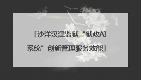 沙洋汉津监狱“狱政AI系统”创新管理服务效能