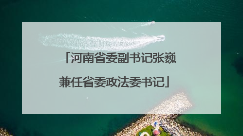 河南省委副书记张巍兼任省委政法委书记