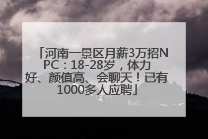 河南一景区月薪3万招NPC：18-28岁，体力好、颜值高、会聊天！已有1000多人应聘