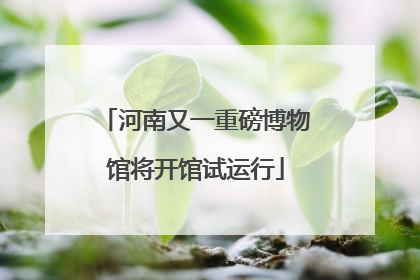 河南又一重磅博物馆将开馆试运行