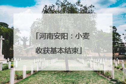 河南安阳：小麦收获基本结束