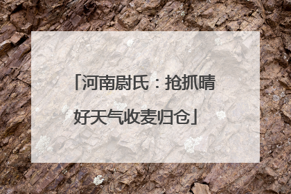 河南尉氏：抢抓晴好天气收麦归仓