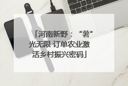 河南新野：“薯”光无限 订单农业激活乡村振兴密码