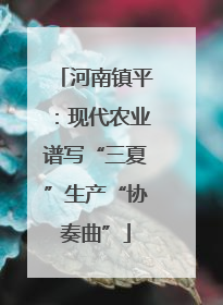 河南镇平：现代农业谱写“三夏”生产“协奏曲”