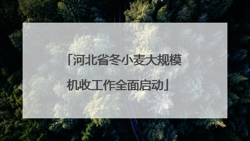 河北省冬小麦大规模机收工作全面启动