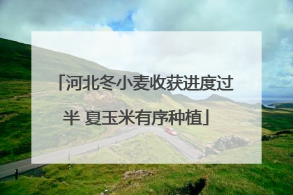 河北冬小麦收获进度过半 夏玉米有序种植