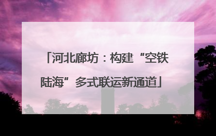 河北廊坊：构建“空铁陆海”多式联运新通道