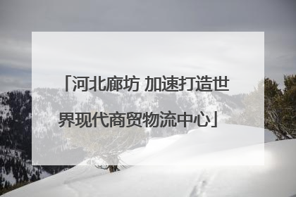 河北廊坊 加速打造世界现代商贸物流中心