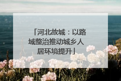 河北故城：以路域整治推动城乡人居环境提升