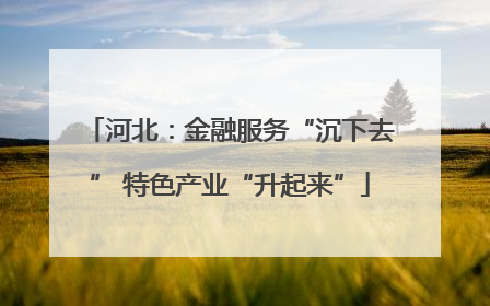 河北：金融服务“沉下去” 特色产业“升起来”