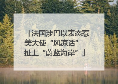 法国涉巴以表态惹美大使“风凉话” 扯上“蔚蓝海岸”