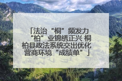 法治“桐”频发力 “柏”业锦绣正兴 桐柏县政法系统交出优化营商环境“成绩单”