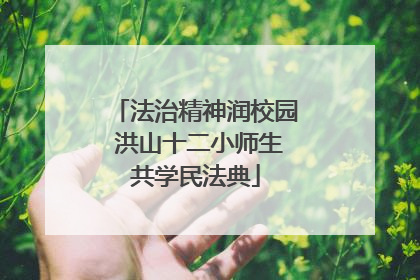 法治精神润校园 洪山十二小师生共学民法典