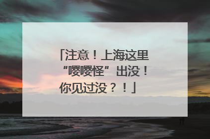 注意！上海这里“嘤嘤怪”出没！你见过没？！