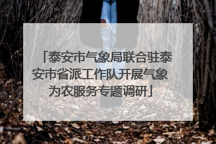 泰安市气象局联合驻泰安市省派工作队开展气象为农服务专题调研