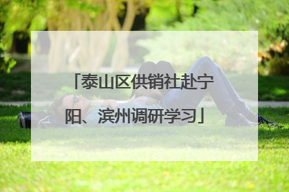 泰山区供销社赴宁阳、滨州调研学习