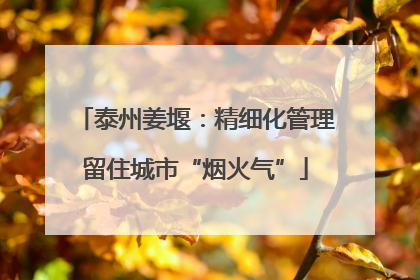 泰州姜堰：精细化管理留住城市“烟火气”