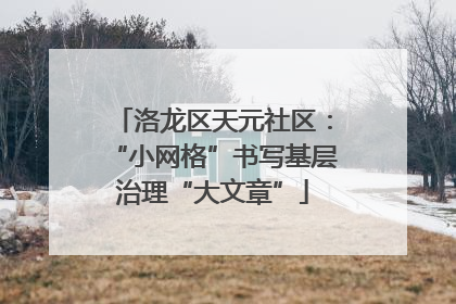 洛龙区天元社区：“小网格”书写基层治理“大文章”