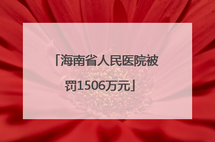 海南省人民医院被罚1506万元