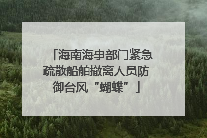 海南海事部门紧急疏散船舶撤离人员防御台风“蝴蝶”