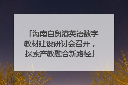 海南自贸港英语数字教材建设研讨会召开，探索产教融合新路径