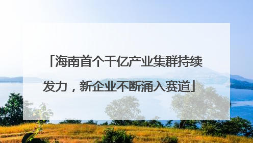 海南首个千亿产业集群持续发力，新企业不断涌入赛道