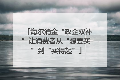 海尔消金“政企双补”让消费者从“想要买”到“买得起”