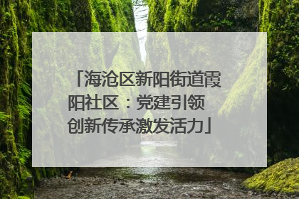 海沧区新阳街道霞阳社区：党建引领 创新传承激发活力