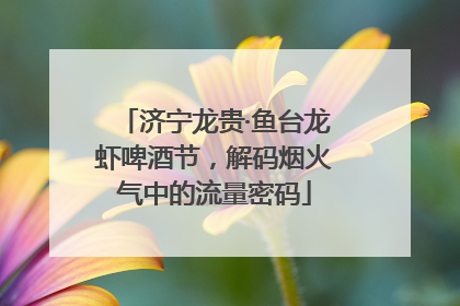 济宁龙贵·鱼台龙虾啤酒节，解码烟火气中的流量密码