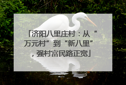 济阳八里庄村：从“万元村”到“新八里”，强村富民路正宽