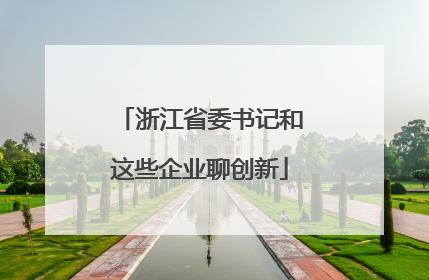 浙江省委书记和这些企业聊创新