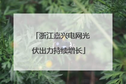 浙江嘉兴电网光伏出力持续增长