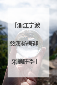 浙江宁波慈溪杨梅迎采摘旺季